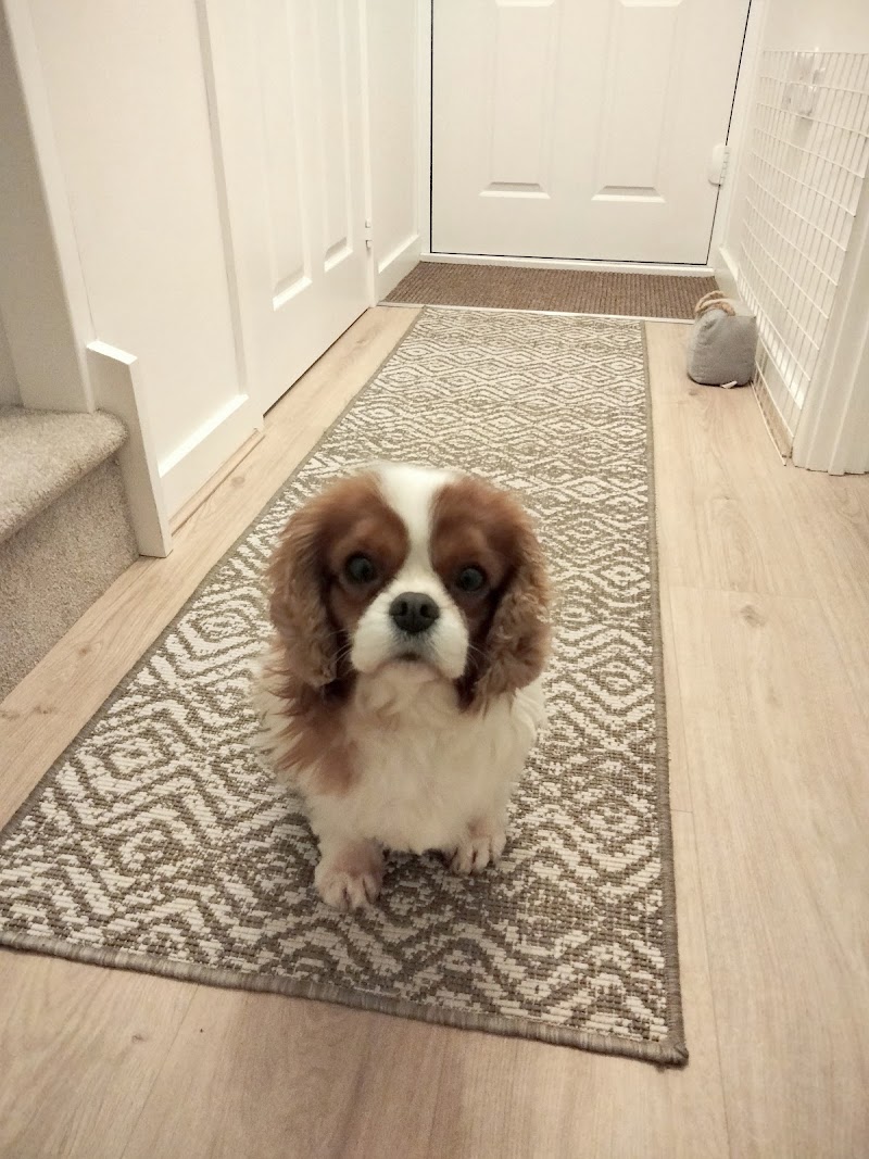 Marston Green Dental - photo 1